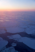 Arctic