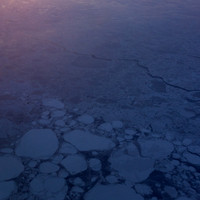 Arctic