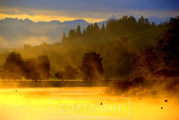Carnation, Washington
