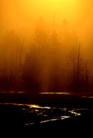 Sunrise at Yellowstone