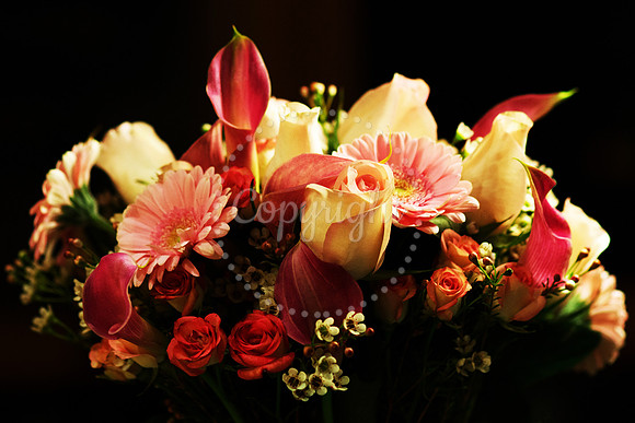 Winter Bouquet
