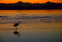 Coastal Washington