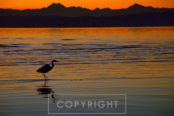 Coastal Washington