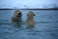 Waterfight VI, Arctic Alaska