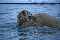 Waterfight VII, Arctic Alaska