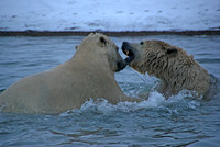 Waterfight IV, Arctic Alaska