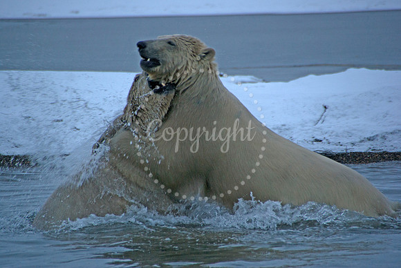 Waterfight V, Arctic Alaska