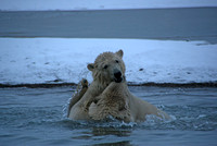 Waterfight VIII, Arctic Alaska