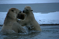 Waterfight IV, Arctic Alaska