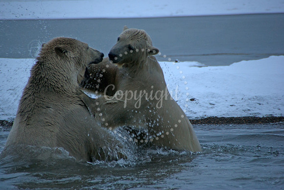 Waterfight IV, Arctic Alaska