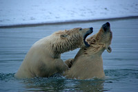 Waterfight I, Arctic Alaska