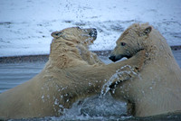 Waterfight II, Arctic Alaska