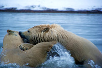 Waterfight II, Arctic Alaska