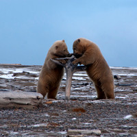 On the Playground,  Arctic Alaska