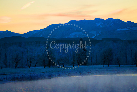Carnation Farm Road