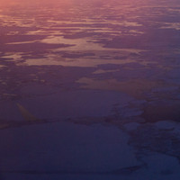 Arctic