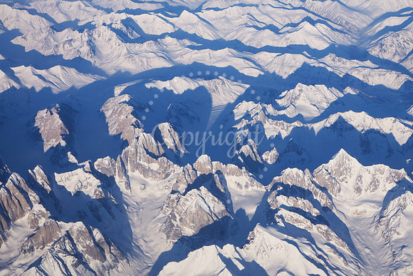 Arctic