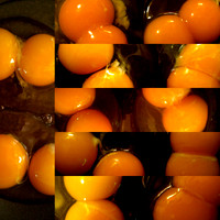 Two Dozen Double Egg Yolks I