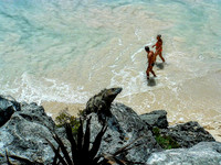 Giant Lizard, Caribbean