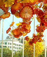 Chihuly III