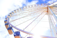 Seattle Eye