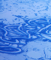 Arctic