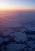 Arctic