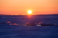 Arctic Mist, Bering Sea, Alaska